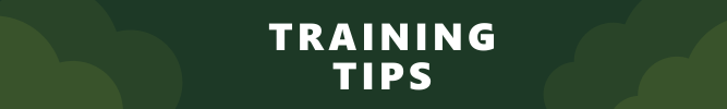 Training tips